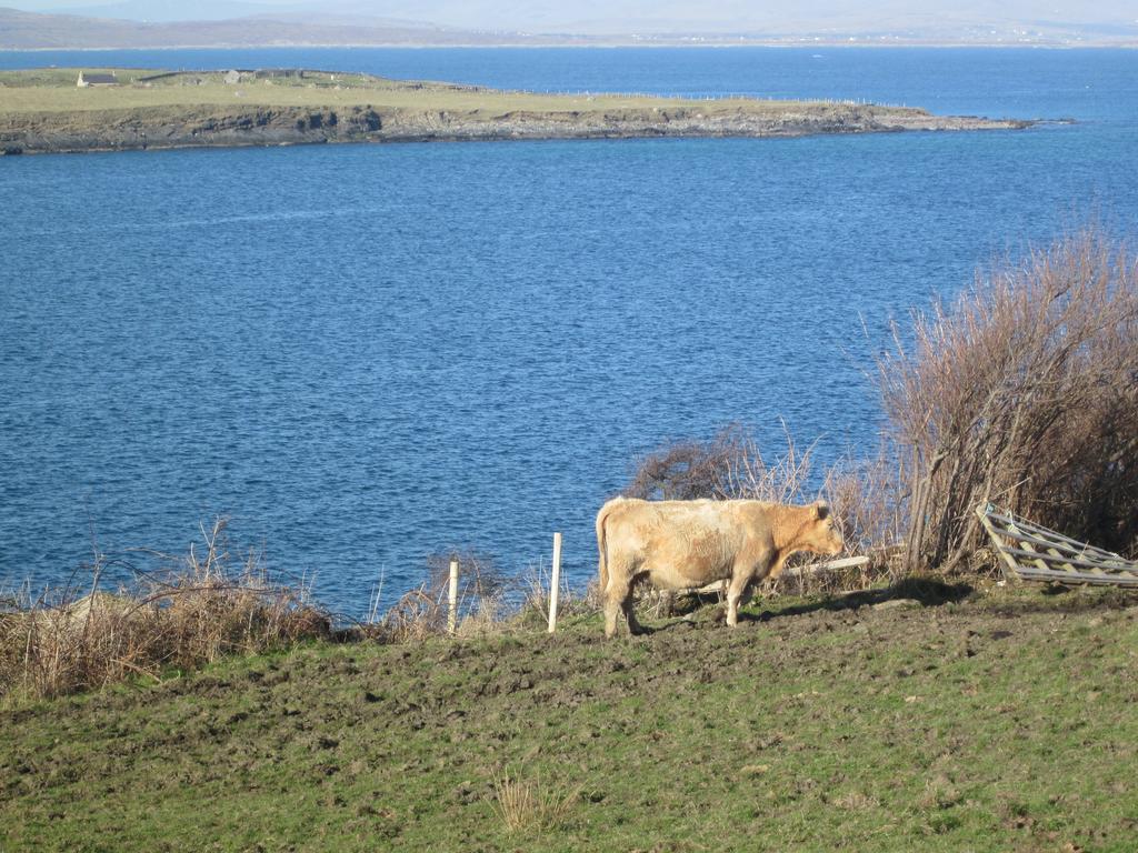 Marguerite'S B&B Glenties Bagian luar foto
